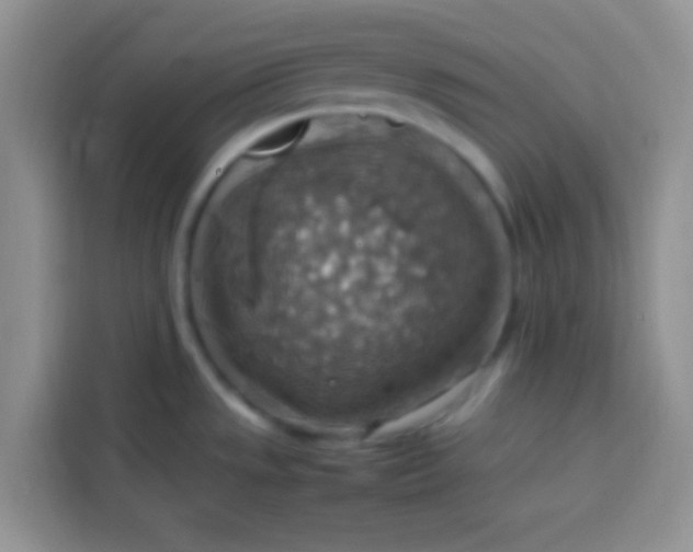 X0000113781533200910141028