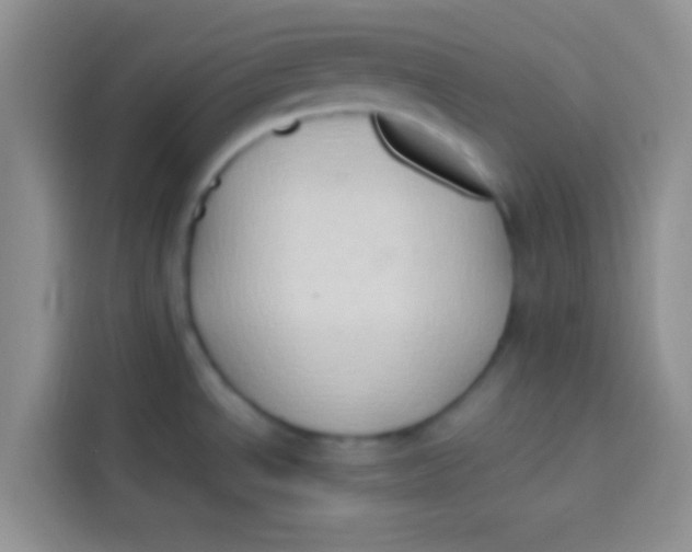 X0000113781534200910141028