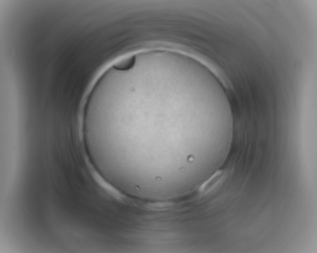 X0000113781535200910141028