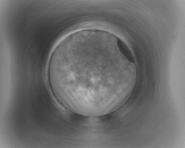 X0000113781536200910141028