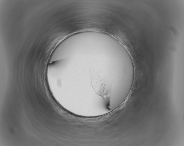 X0000113780001200910211216