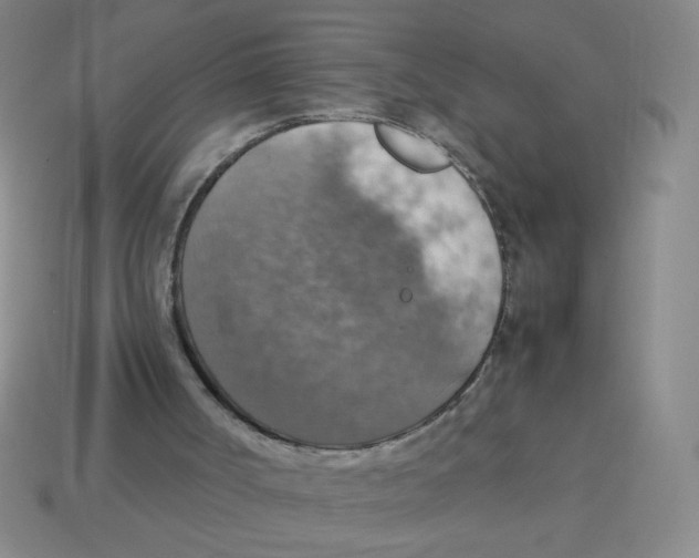 X0000113780002200910211216