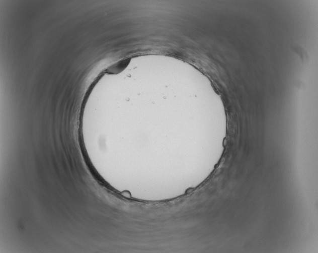 X0000113780003200910211216