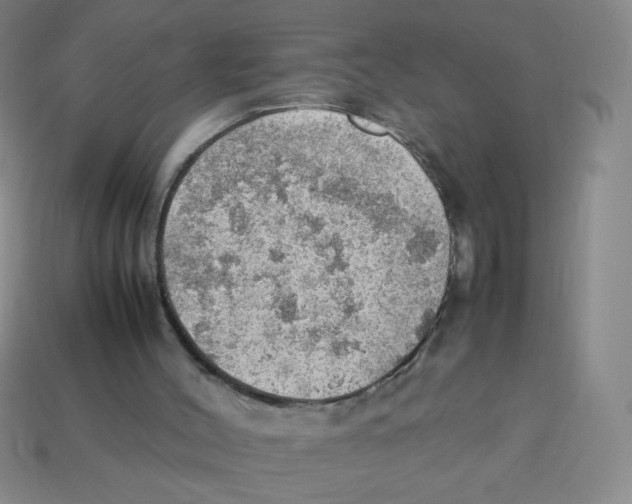 X0000113780004200910211216
