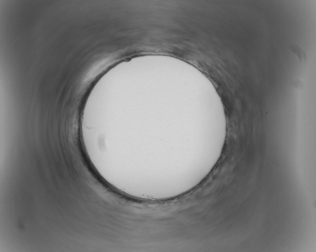 X0000113780005200910211216