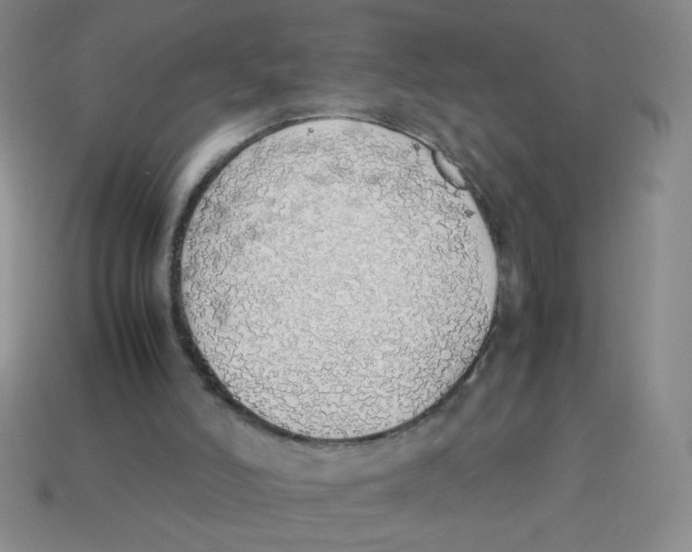 X0000113780006200910211215
