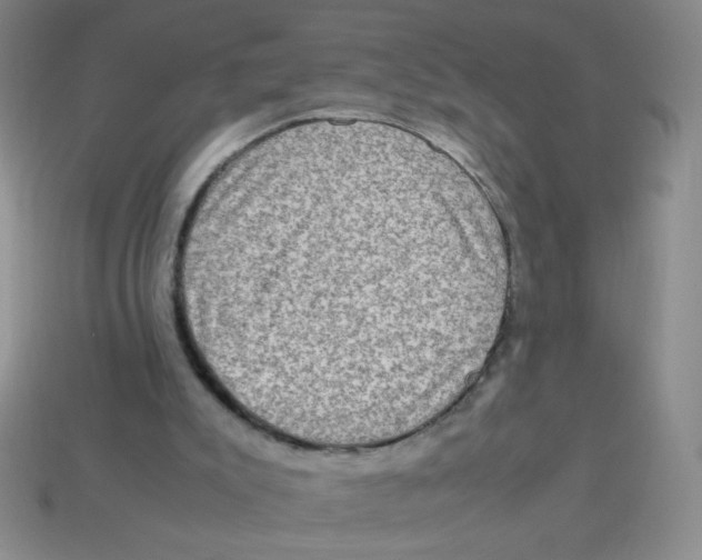 X0000113780007200910211215