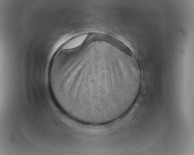 X0000113780008200910211215