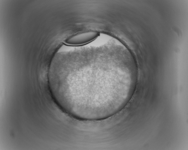X0000113780009200910211215