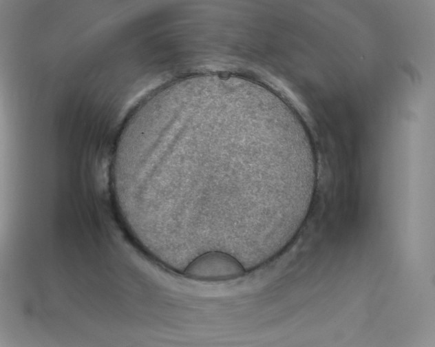 X0000113780010200910211215