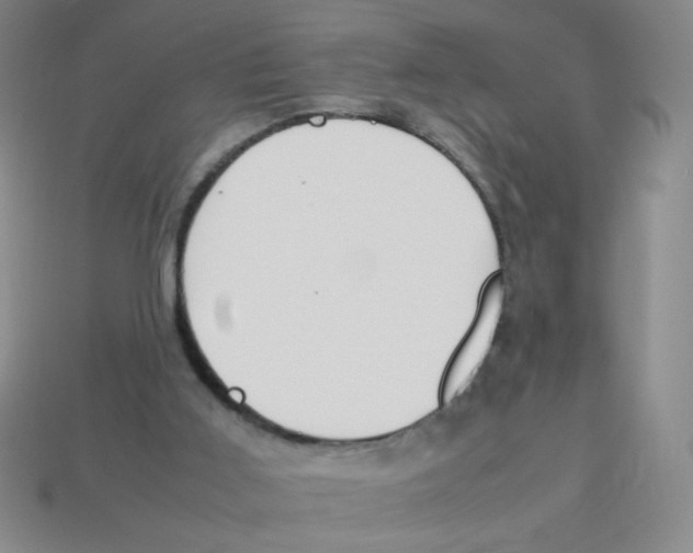 X0000113780011200910211215