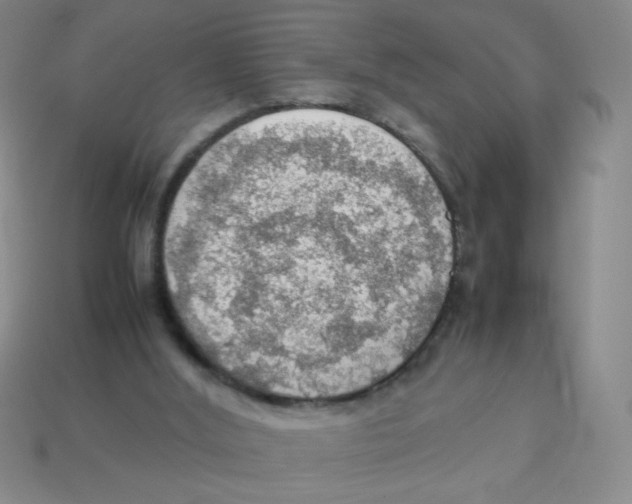 X0000113780012200910211215