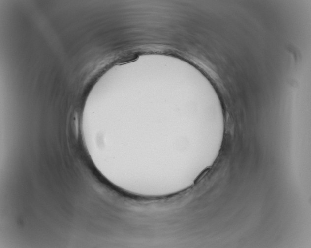 X0000113780013200910211215