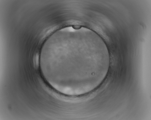 X0000113780014200910211215