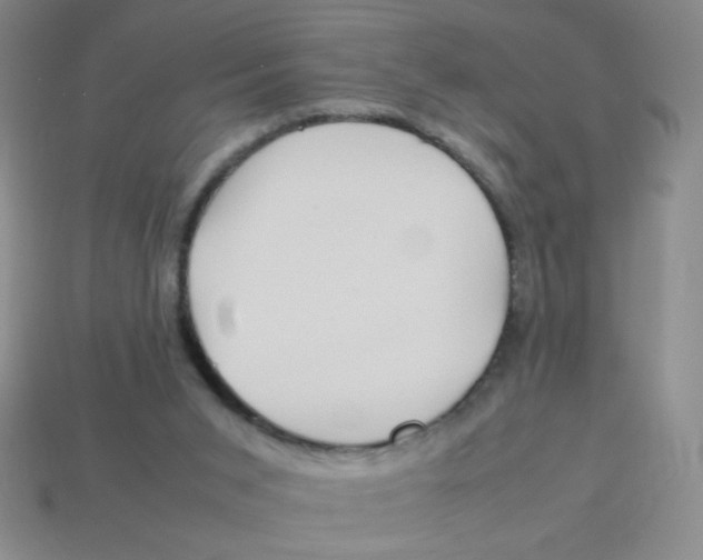 X0000113780015200910211215