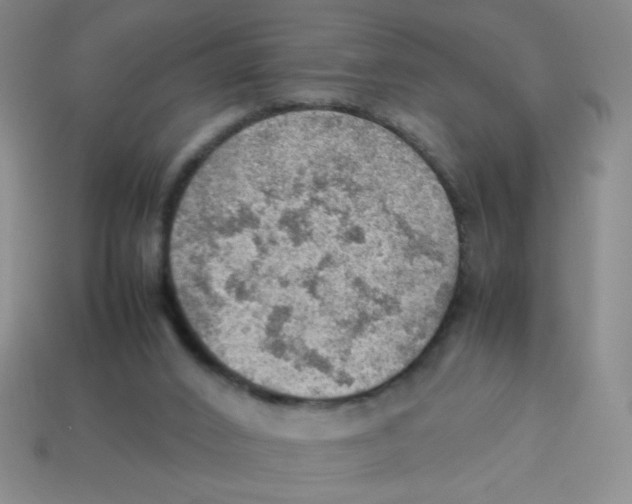 X0000113780016200910211215