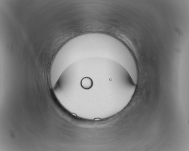 X0000113780017200910211215