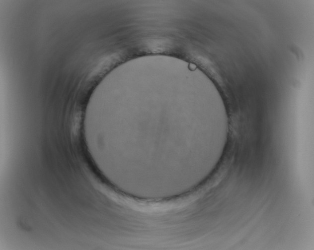 X0000113780018200910211215