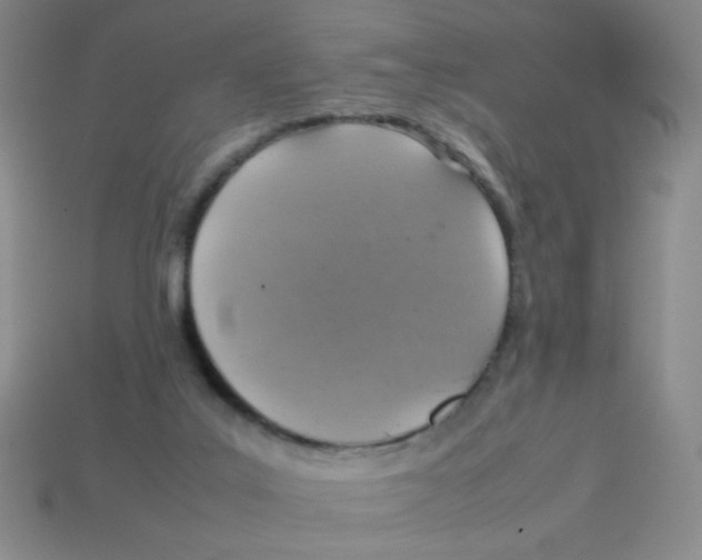 X0000113780019200910211215