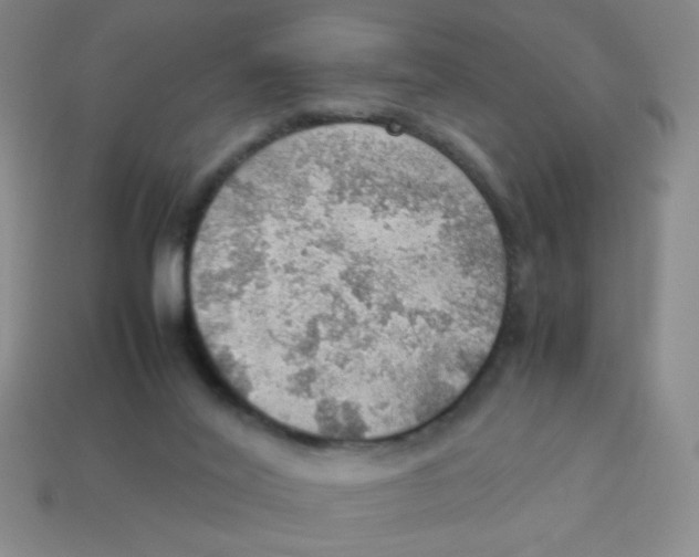 X0000113780020200910211215