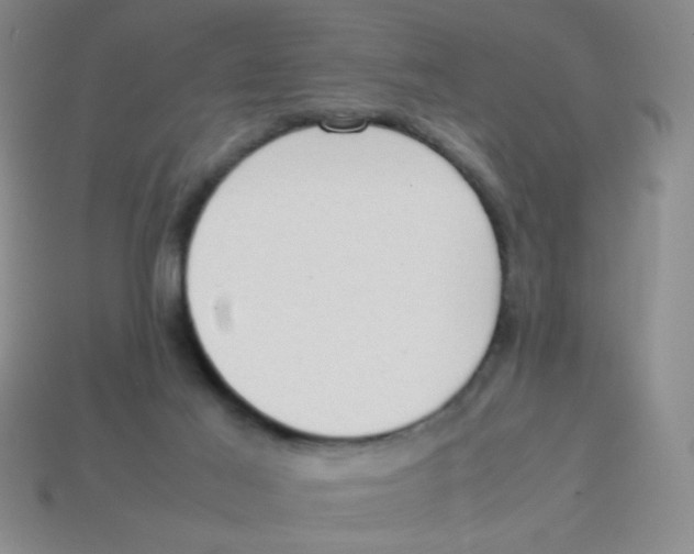 X0000113780021200910211215