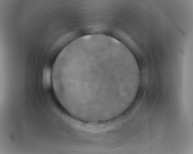 X0000113780022200910211215