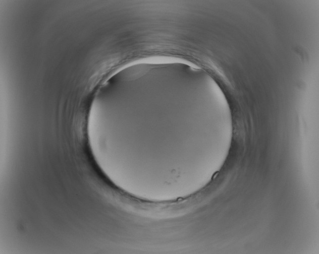 X0000113780023200910211215