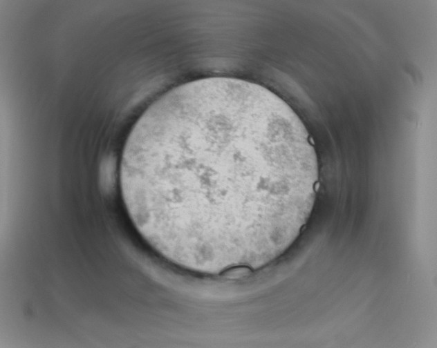 X0000113780024200910211215