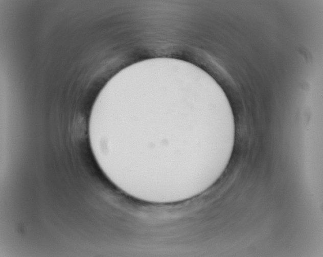 X0000113780025200910211215