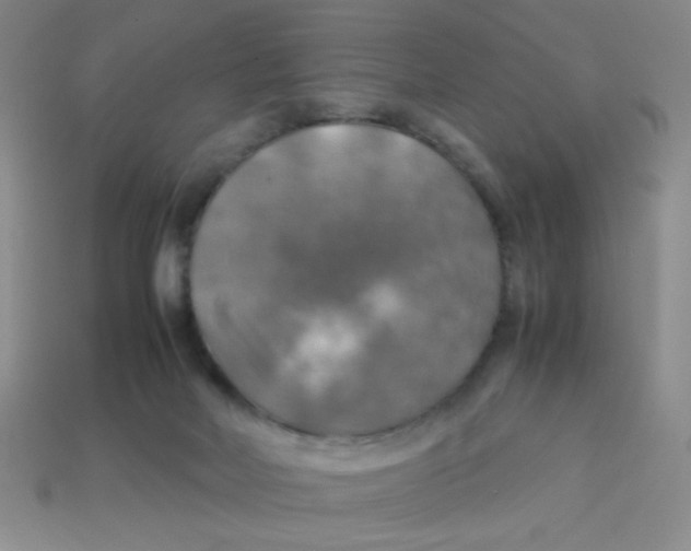 X0000113780026200910211215