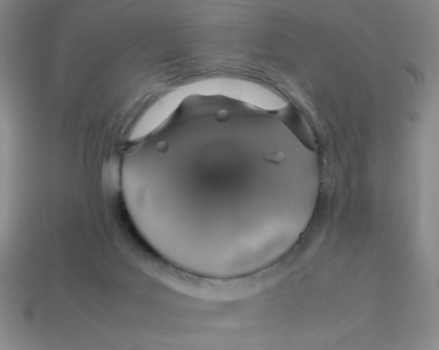 X0000113780027200910211215