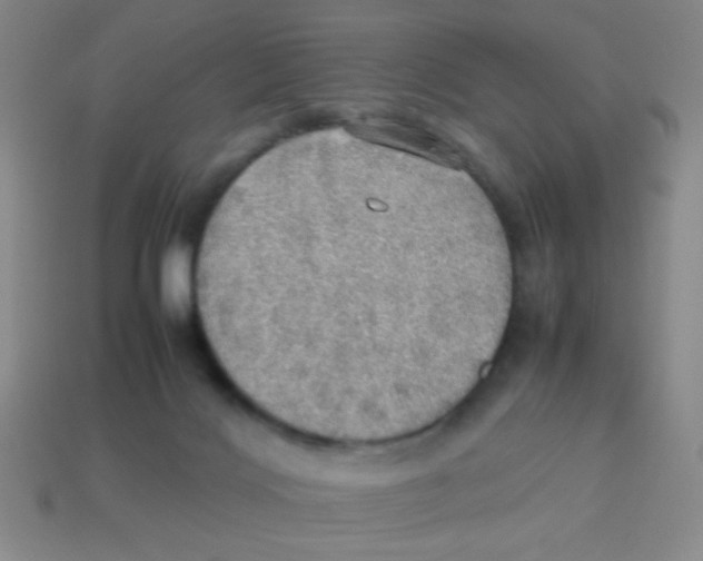 X0000113780028200910211215