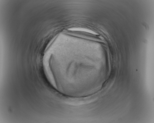 X0000113780029200910211215
