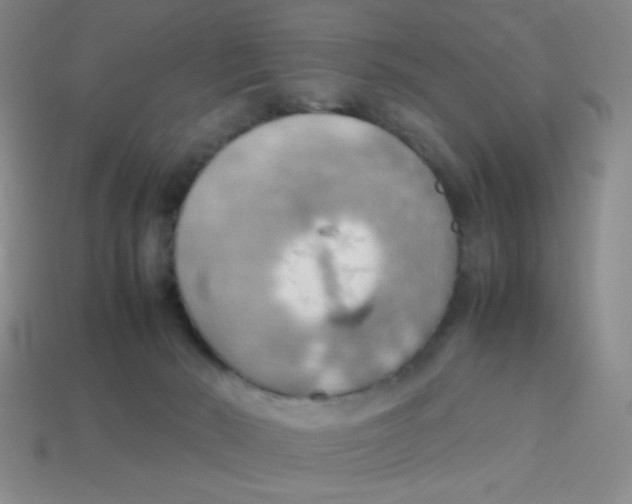 X0000113780030200910211215