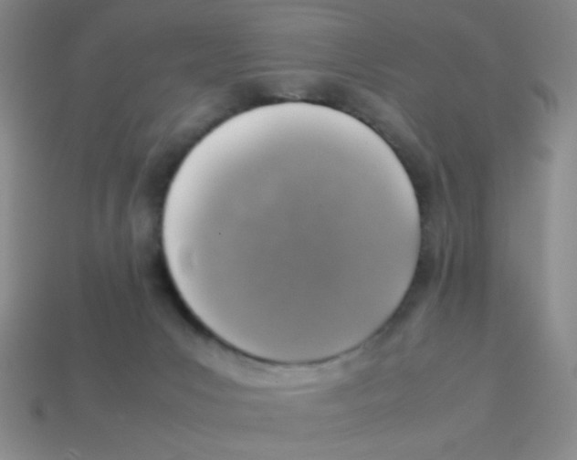 X0000113780031200910211215