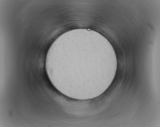 X0000113780032200910211215