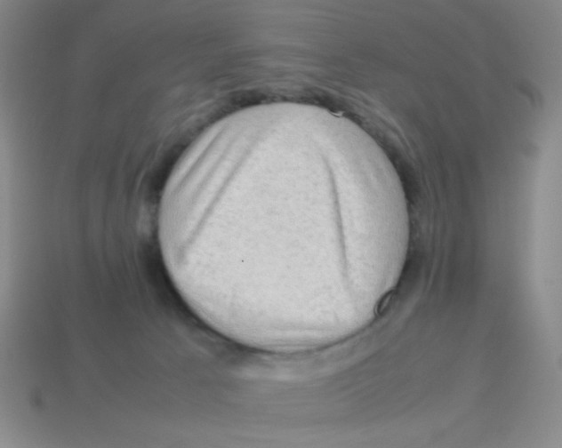 X0000113780033200910211215