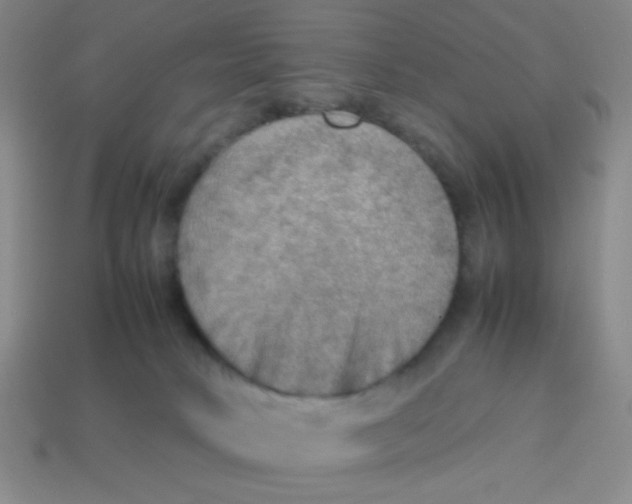 X0000113780034200910211215