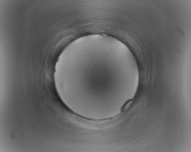 X0000113780035200910211215