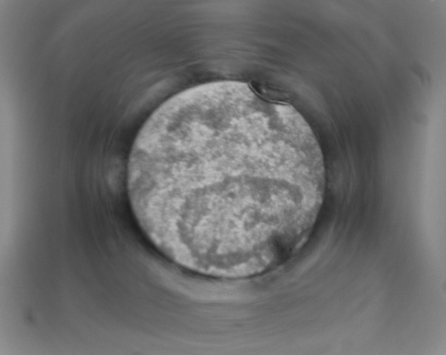 X0000113780036200910211215