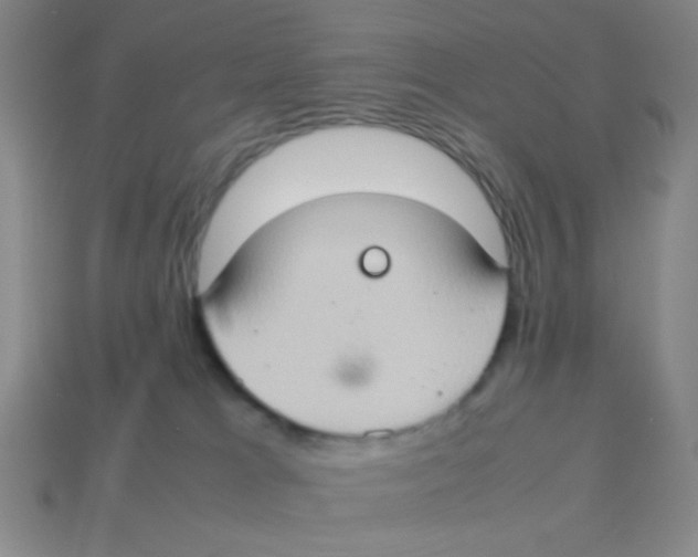 X0000113780037200910211215