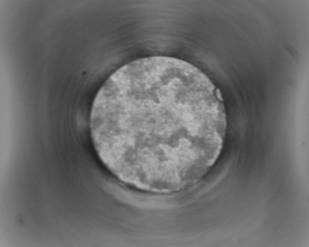 X0000113780040200910211215