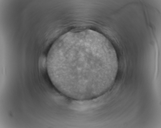 X0000113780041200910211215