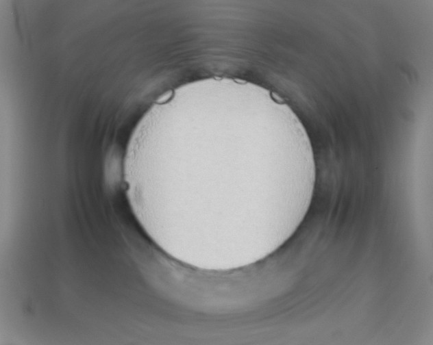 X0000113780042200910211215