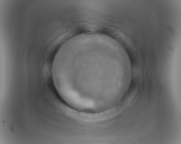 X0000113780043200910211215
