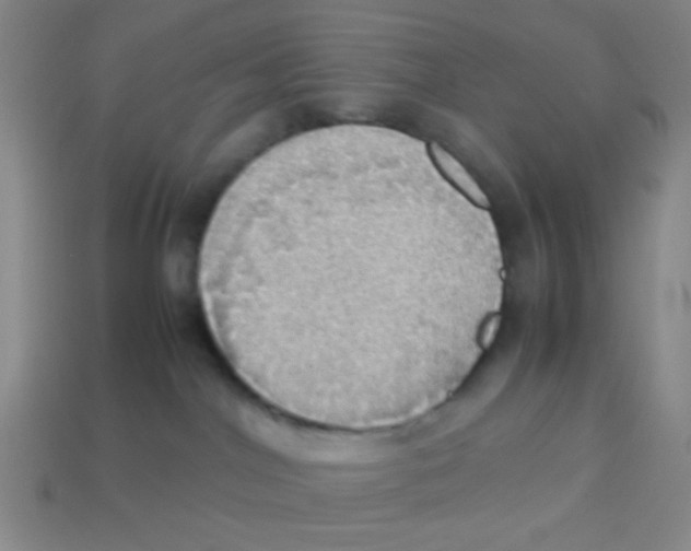 X0000113780044200910211215