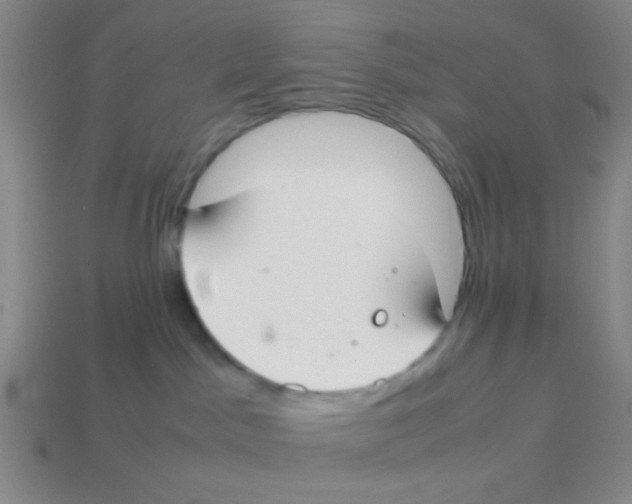 X0000113780045200910211215