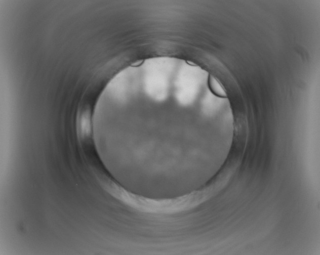X0000113780046200910211215