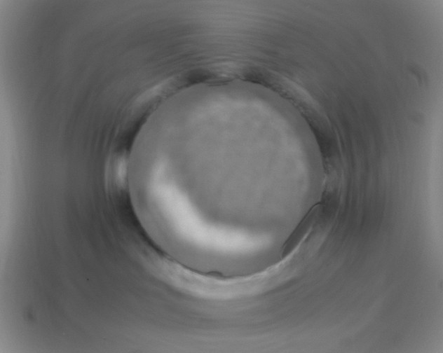 X0000113780047200910211215