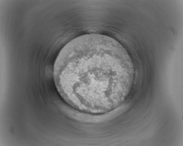 X0000113780048200910211215